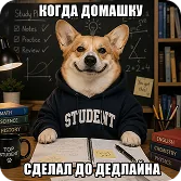 Когда домашку сделал до дедлайна